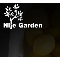 Оливки зелені з кісточкою Nile Garden 4100 г