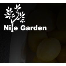 Оливки зеленые с косточкой Nile Garden 4100 г