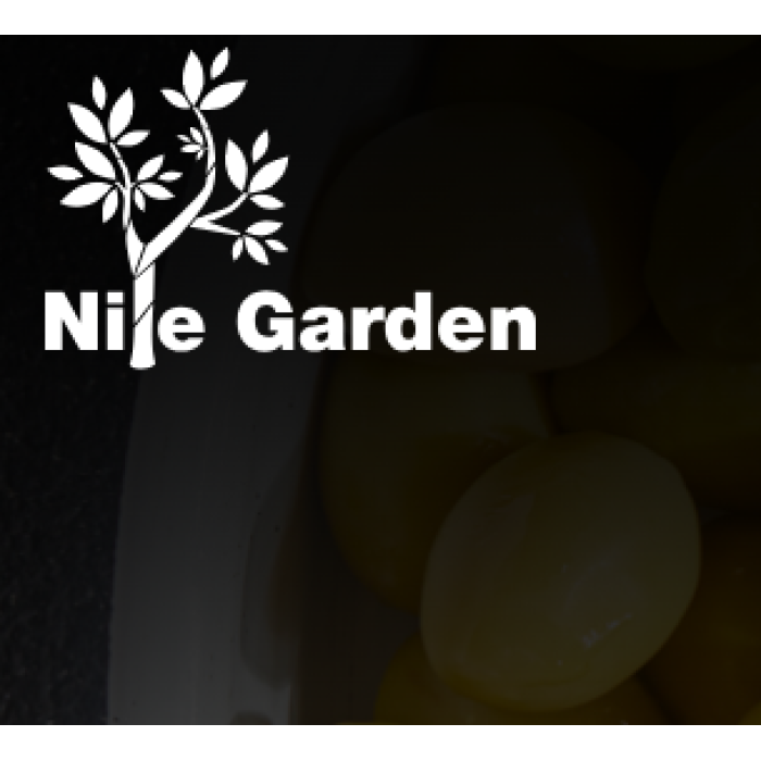 Зелені оливки з кісточкою Nile Garden (чиста вага 2500 г)