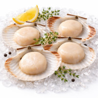 Гребешки: морской гребешок (филе) разных калибров для дома и HoReCa